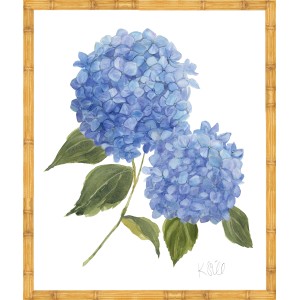 KS- HYDRANGEA BLOOMS 2
